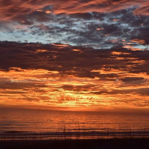 1st_Place_Winter_dawn_at_Jax_Beach_by_D_Malone_McMillan_EzekielANovel_thumb