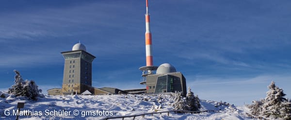 At home in the Harz Mountains