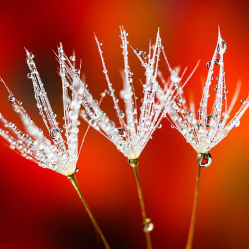 weather photography