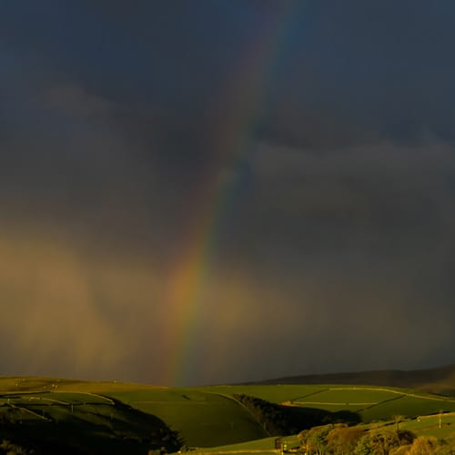 rainbow macclesfield